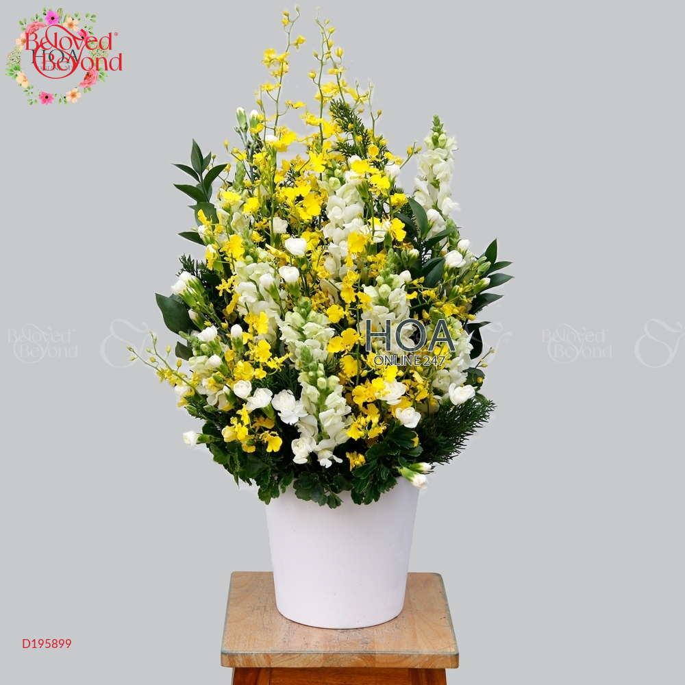 D195899 - belovedbeyond.com