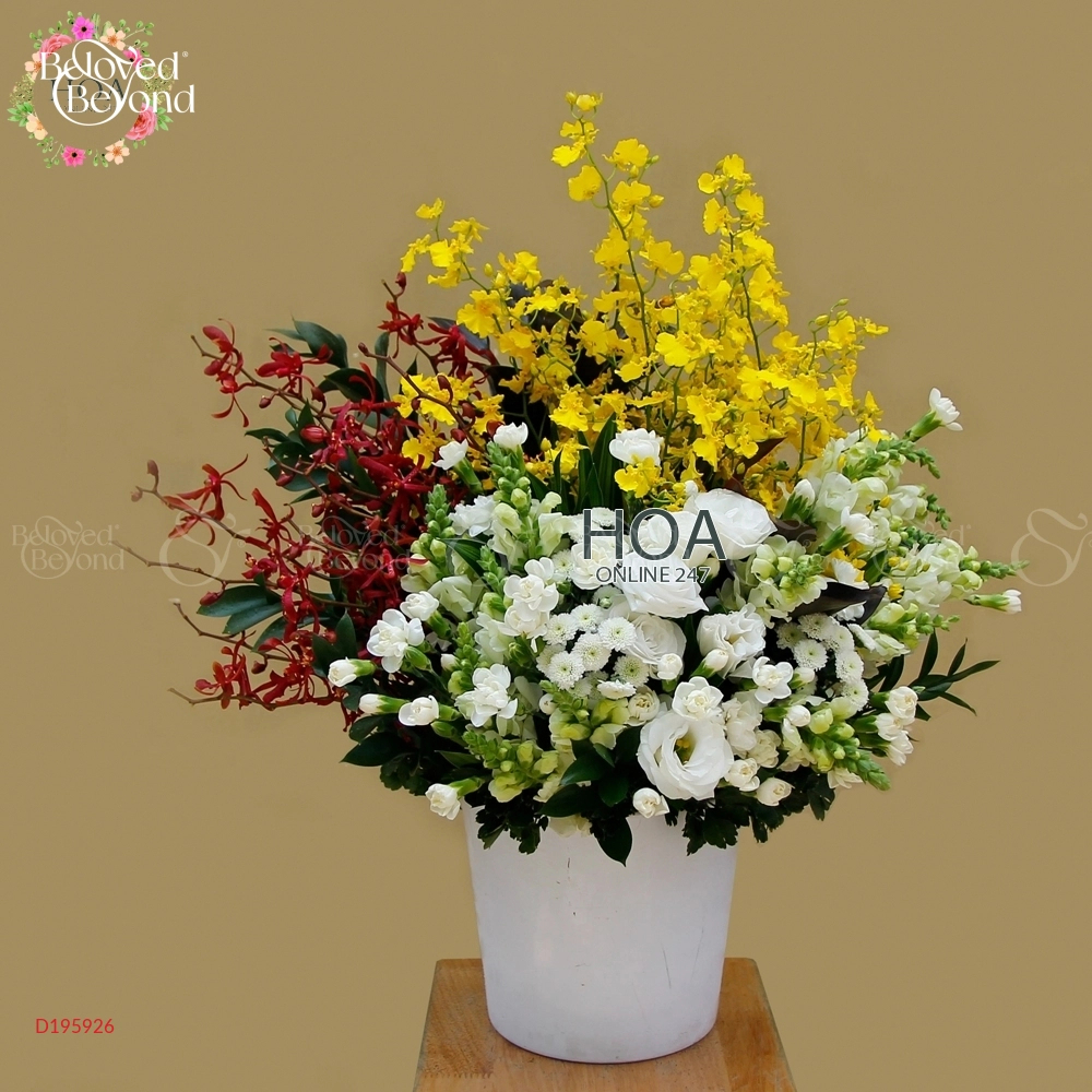 D195926 - belovedbeyond.com