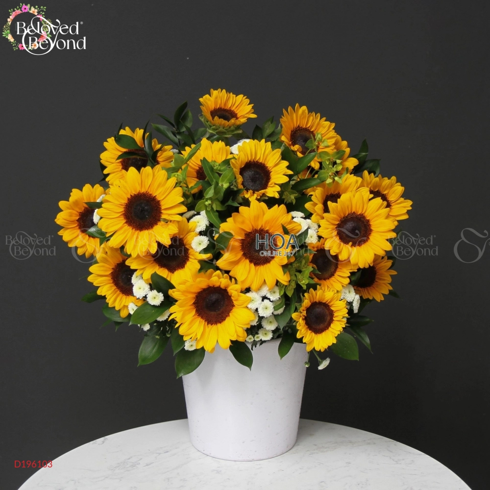 D196103 - belovedbeyond.com