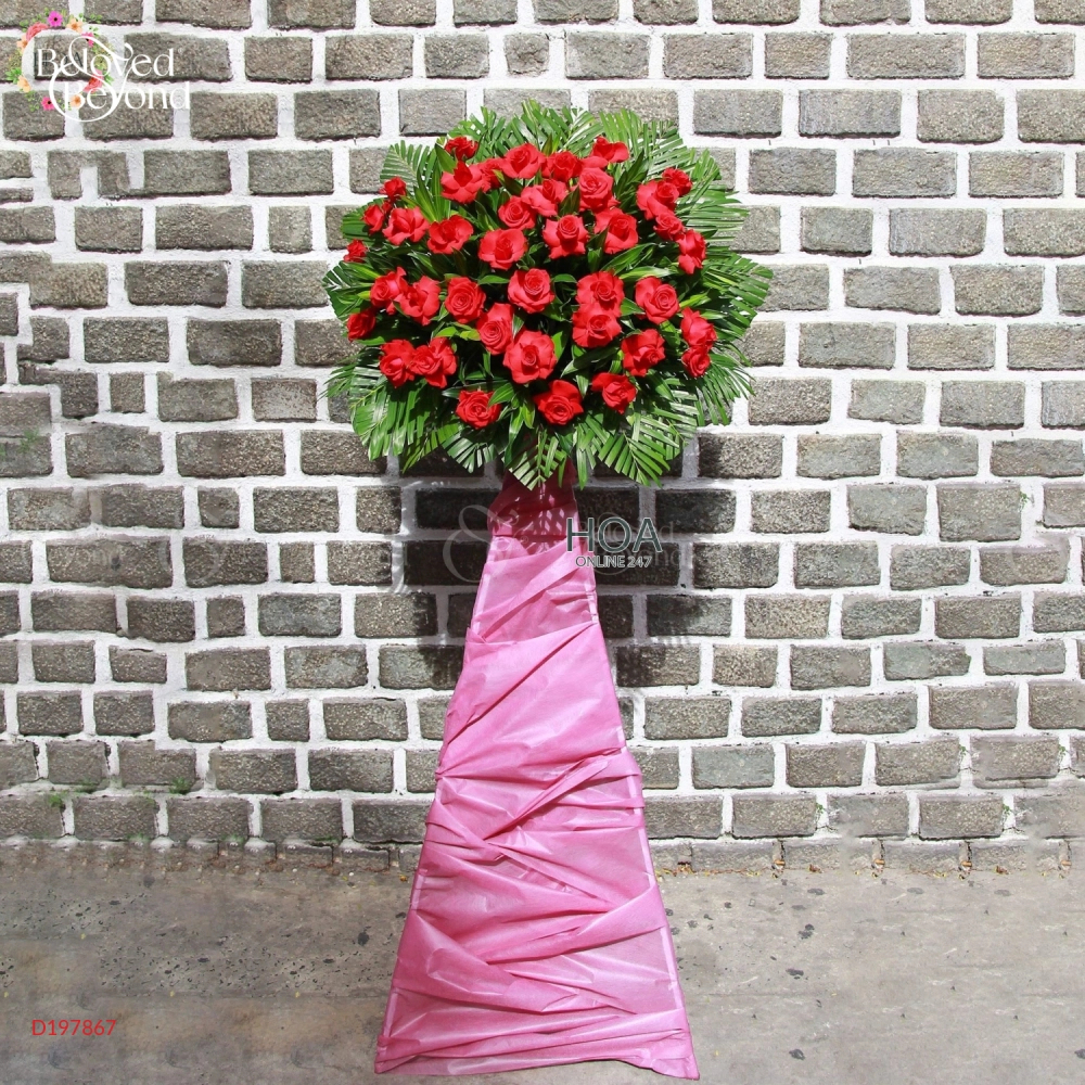 D197867 - belovedbeyond.com