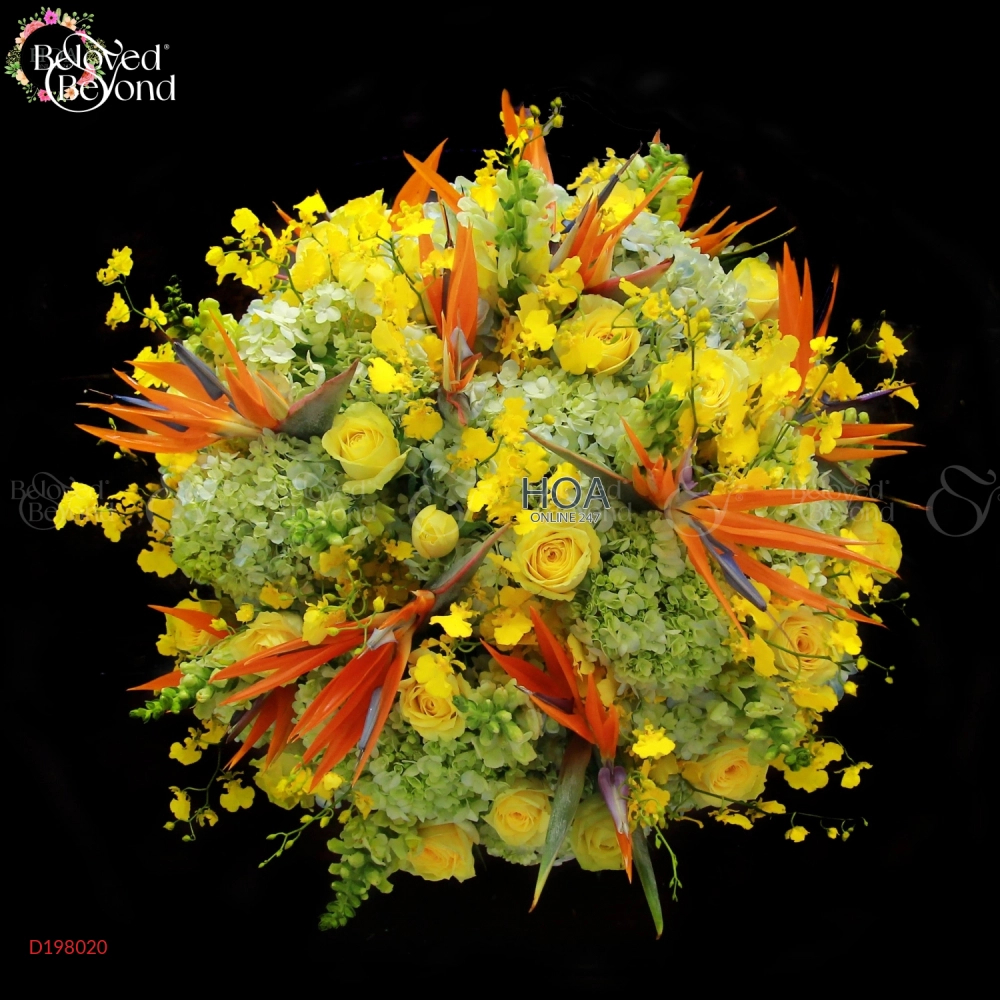 D198020 - belovedbeyond.com