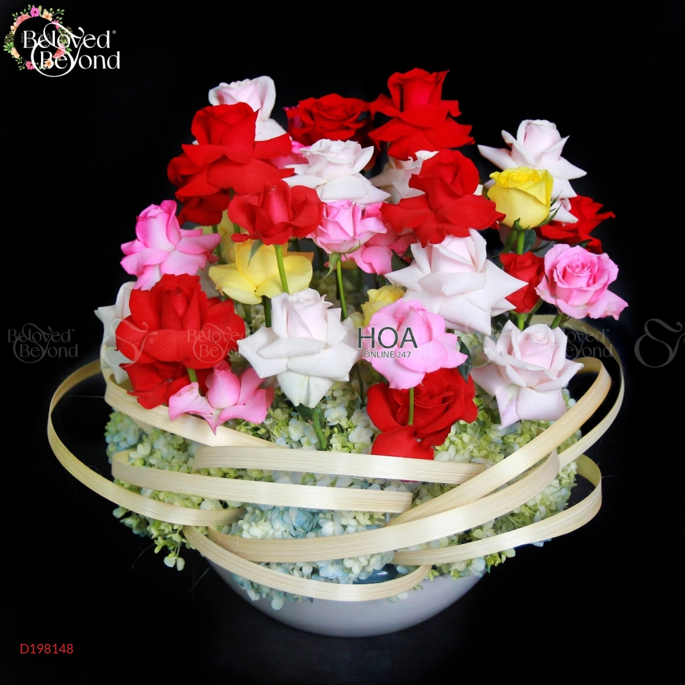 D198148 - belovedbeyond.com