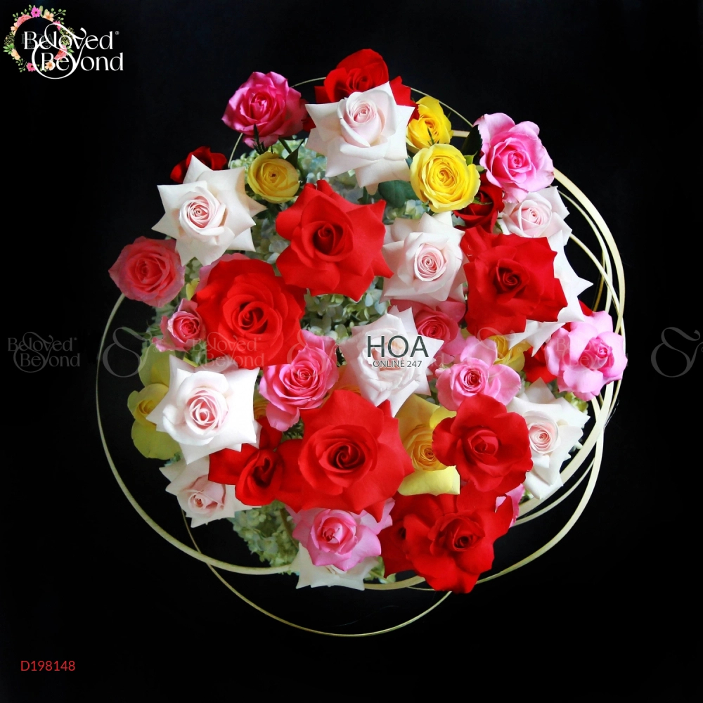 D198148 - belovedbeyond.com