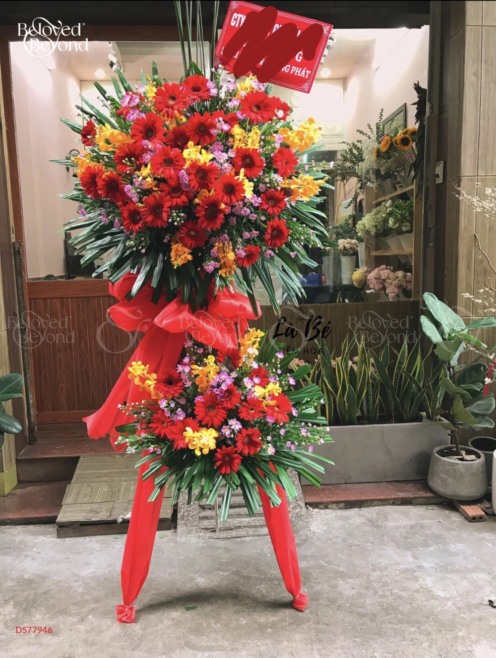 Vươn Xa - belovedbeyond.com