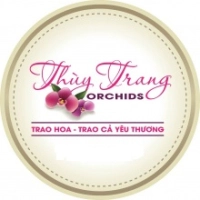Thùy Trang Orchids HCM