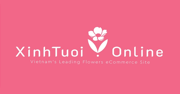BỎ TÚI BÍ QUYẾT CHĂM SÓC HOA TƯƠI SIÊU DỄ - belovedbeyond.com