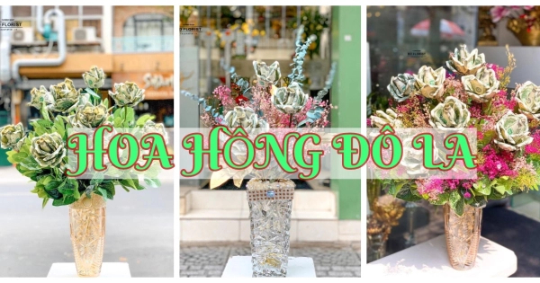 Hoa hồng đô la - belovedbeyond.com