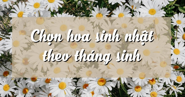 BÍ QUYẾT LỰA CHỌN HOA SINH NHẬT THEO THÁNG SINH - belovedbeyond.com