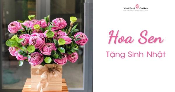 LẴNG HOA SEN Ý NGHĨA TẶNG SINH NHẬT MẸ - belovedbeyond.com