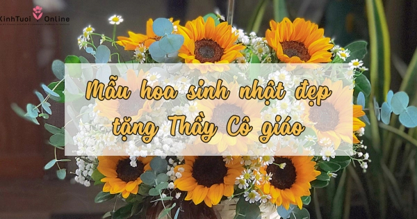 Gợi ý tặng hoa chúc mừng sinh nhật cho thầy cô giáo - belovedbeyond.com