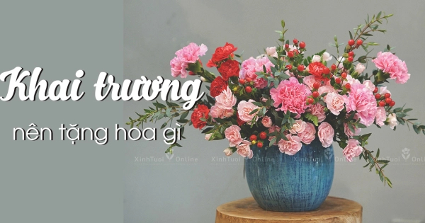 CHỌN HOA GÌ ĐỂ CHÚC MỪNG KHAI TRƯƠNG - belovedbeyond.com