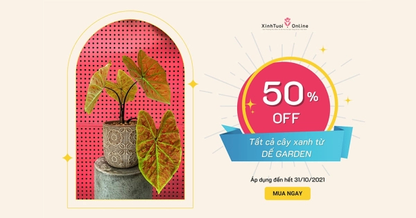 HOT DEAL 20-10 | GIẢM NGAY 50% CÂY XANH TẠI DẾ GARDEN - belovedbeyond.com