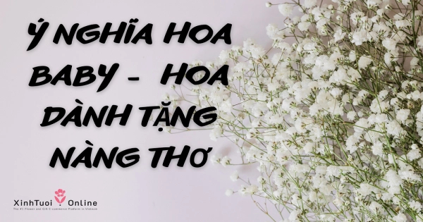 Ý NGHĨA CỦA HOA CHÚC MỪNG BABY - LOÀI HOA DÀNH TẶNG NÀNG THƠ - belovedbeyond.com