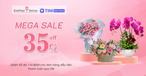 MEGA SALE ĐÓN TẾT - XINH TƯƠI ONLINE GIẢM ĐẾN 35% - belovedbeyond.com