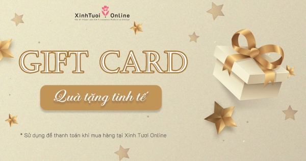 ĐIỀU KHOẢN VÀ CÁCH THỨC SỬ DỤNG GIFT-CARD TẠI XINHTUOI.ONLINE - belovedbeyond.com