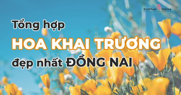 Tổng hợp mẫu hoa khai trương đẹp nhất Đồng Nai - belovedbeyond.com