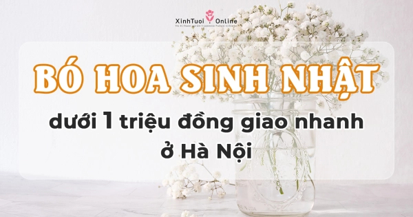 Bó hoa sinh nhật cho nữ giá rẻ dưới 1 triệu đồng tại Hà Nội - belovedbeyond.com