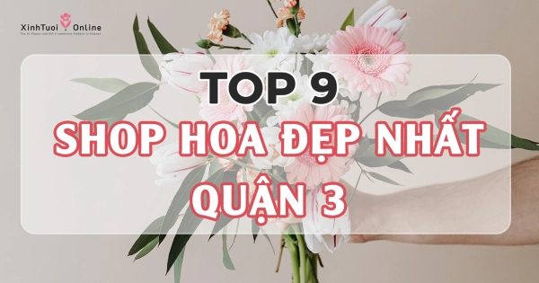 Top 9 shop hoa đẹp nhất tại quận 3, Tp. Hồ Chí Minh - belovedbeyond.com