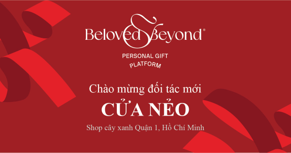 BELOVED&BEYOND X CỬA NẺO | Chào mừng đối tác - belovedbeyond.com