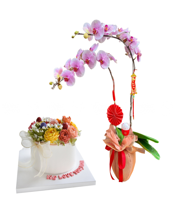 Lan Hồ Điệp & Bánh Kem - belovedbeyond.com