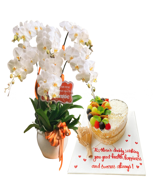 Lan Hồ Điệp & Bánh Kem - belovedbeyond.com