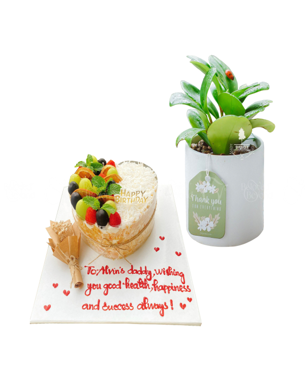 Combo Bánh Kem & Cây - belovedbeyond.com