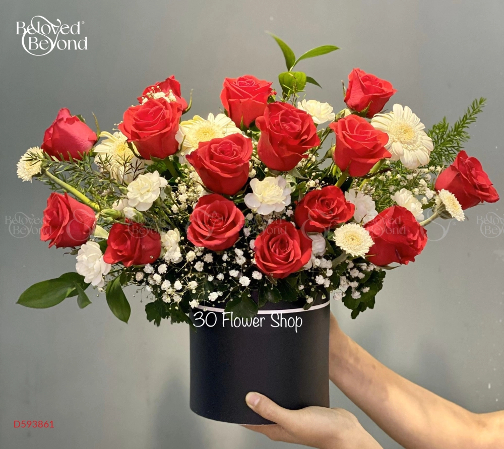 Hh-276 - belovedbeyond.com