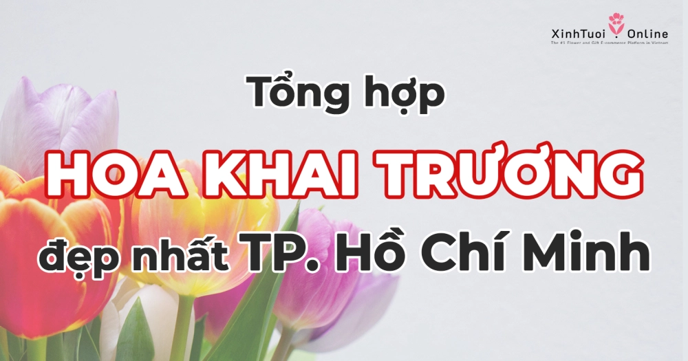 Tổng hợp mẫu hoa khai trương đẹp nhất TP. Hồ Chí Minh