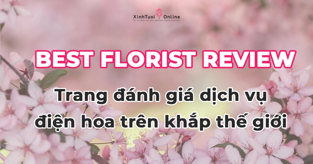 TRANG REVIEW DỊCH VỤ ĐIỆN HOA TOÀN CẦU ĐƯỢC YÊU THÍCH NHẤT
