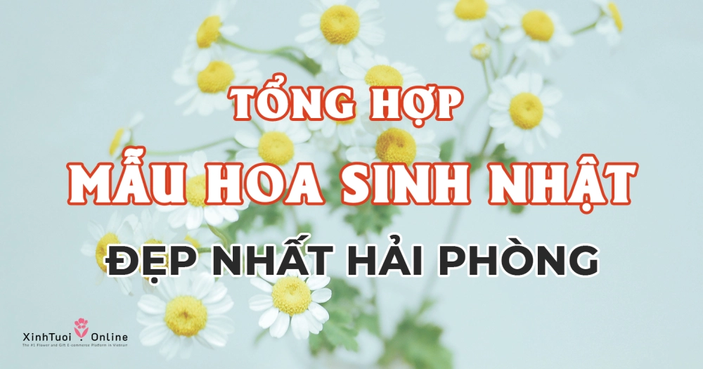 Tổng hợp mẫu hoa sinh nhật đẹp nhất Hải Phòng