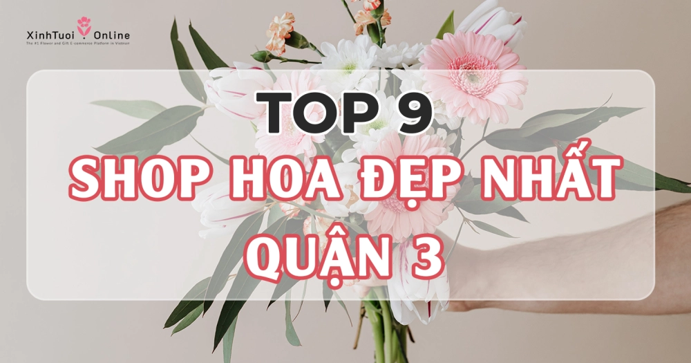 Top 9 shop hoa đẹp nhất tại quận 3, Tp. Hồ Chí Minh