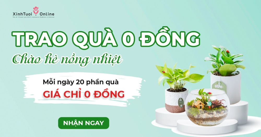 TRAO QUÀ 0 ĐỒNG - CHÀO HÈ NỒNG NHIỆT