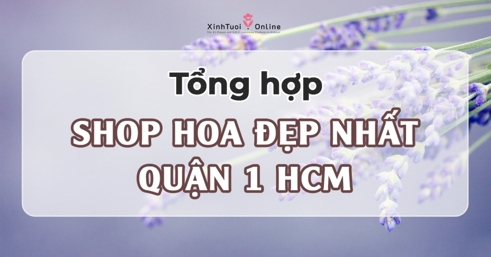 HOA SINH NHẬT ĐẸP GIAO NHANH TẠI QUẬN 1