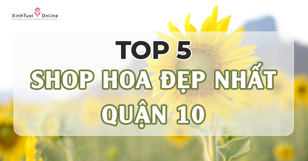 TOP 5 SHOP HOA ĐẸP GIAO NHANH TẠI QUẬN 10