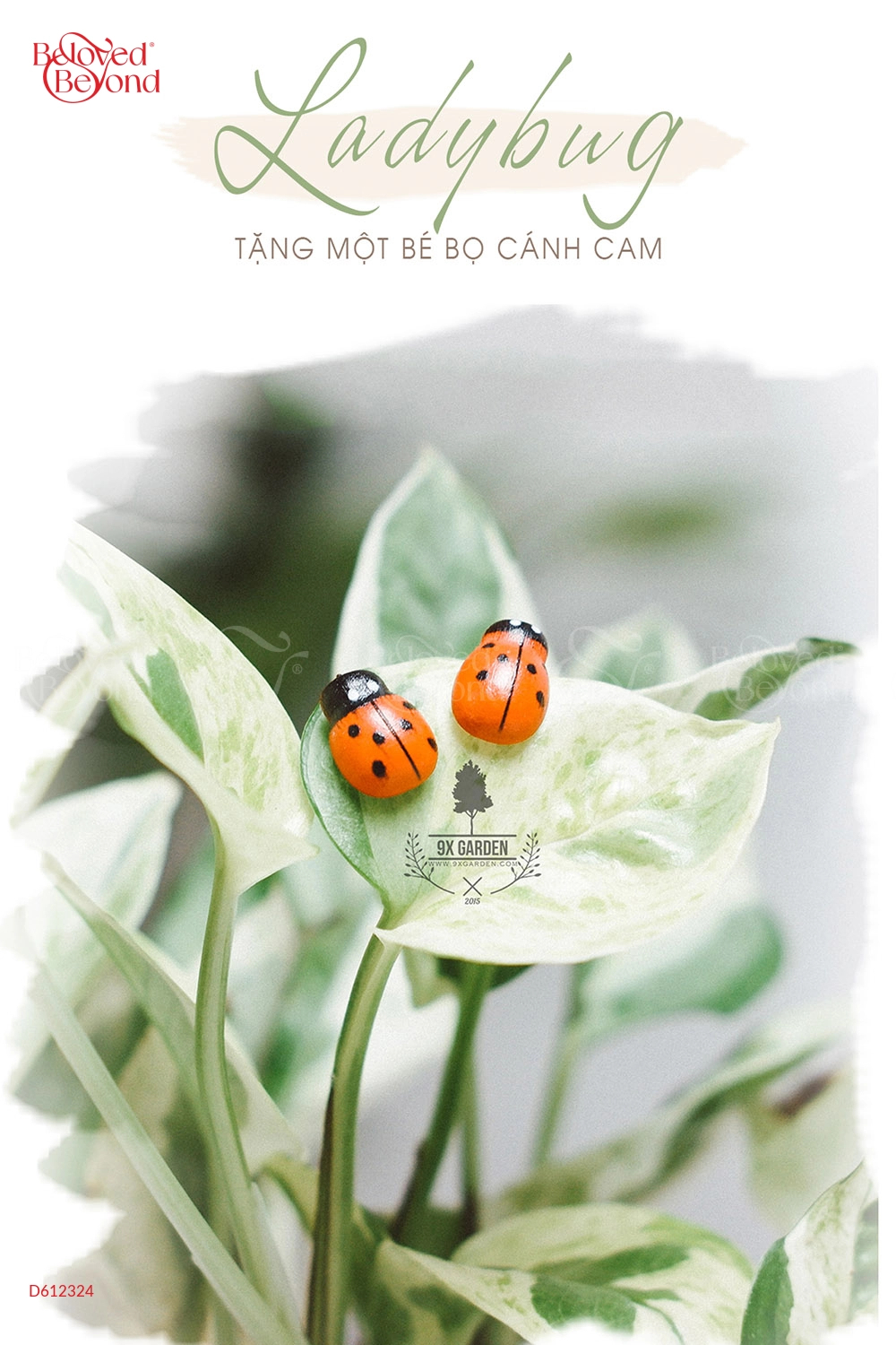 Trường Sinh × Teori - belovedbeyond.com