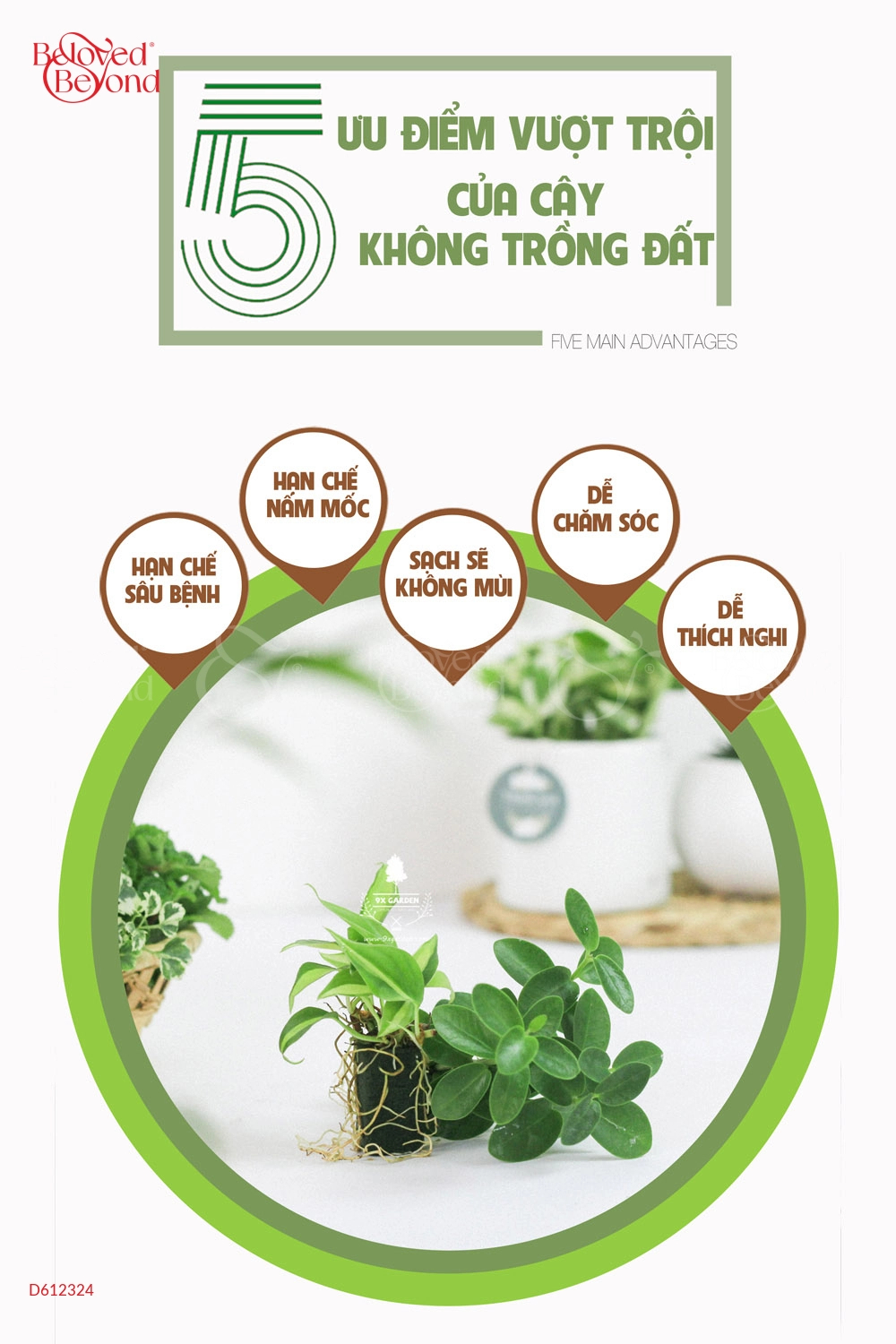 Trường Sinh × Teori - belovedbeyond.com