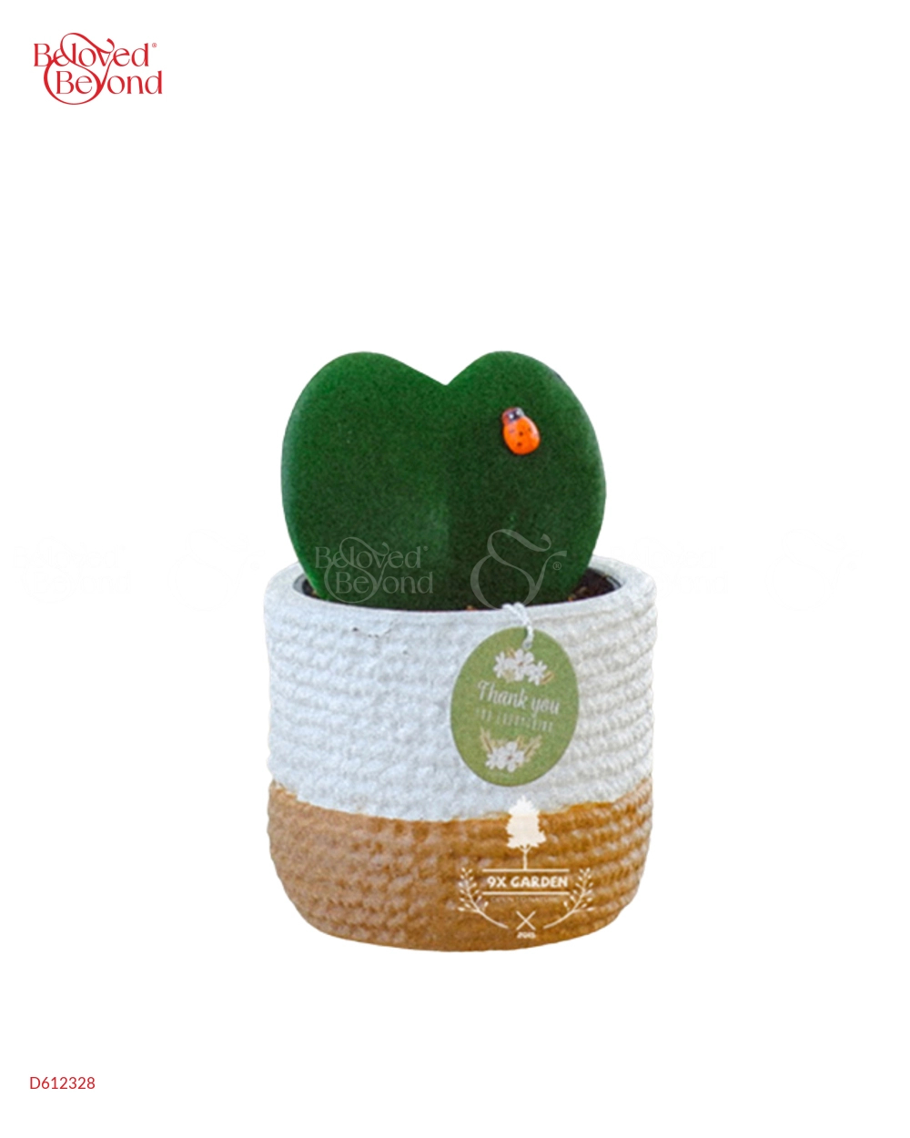 Hoya Tim × Teori - belovedbeyond.com