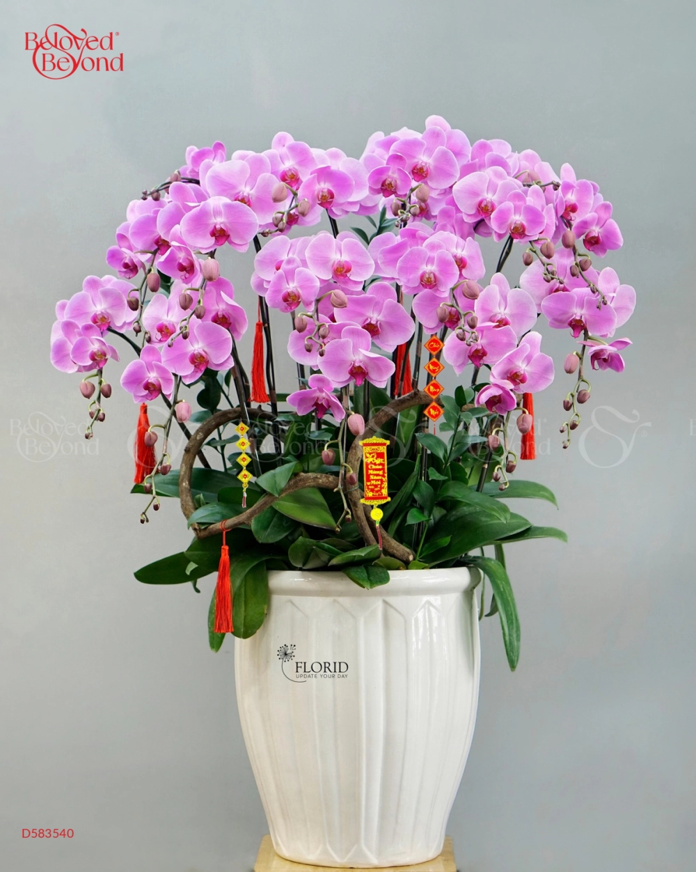 Thái Hoa - belovedbeyond.com