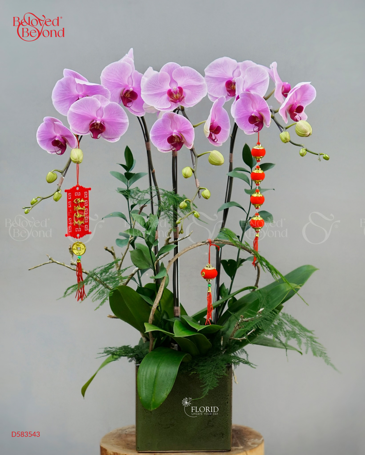 Yêu Thương - belovedbeyond.com