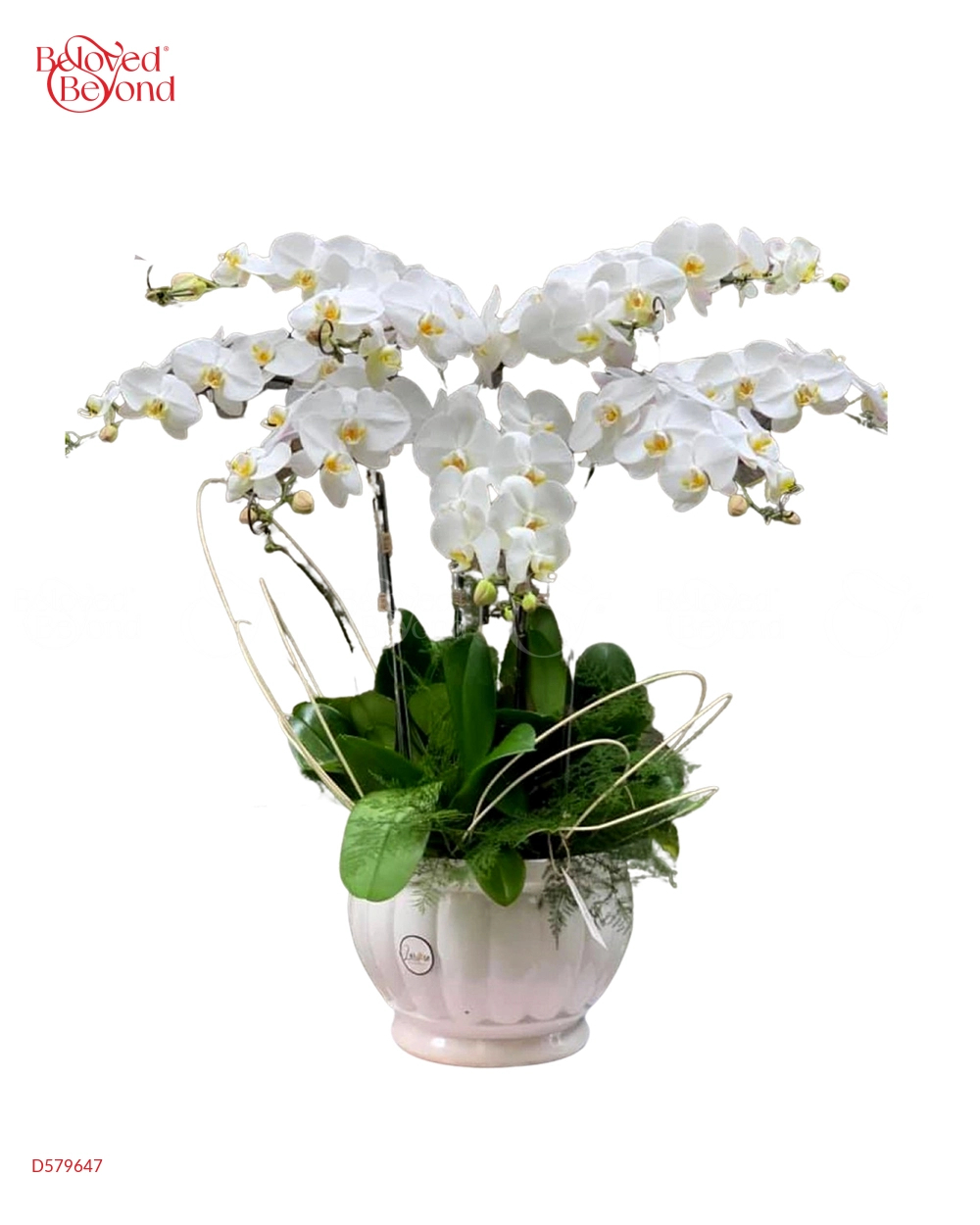 Lộc Phát - belovedbeyond.com