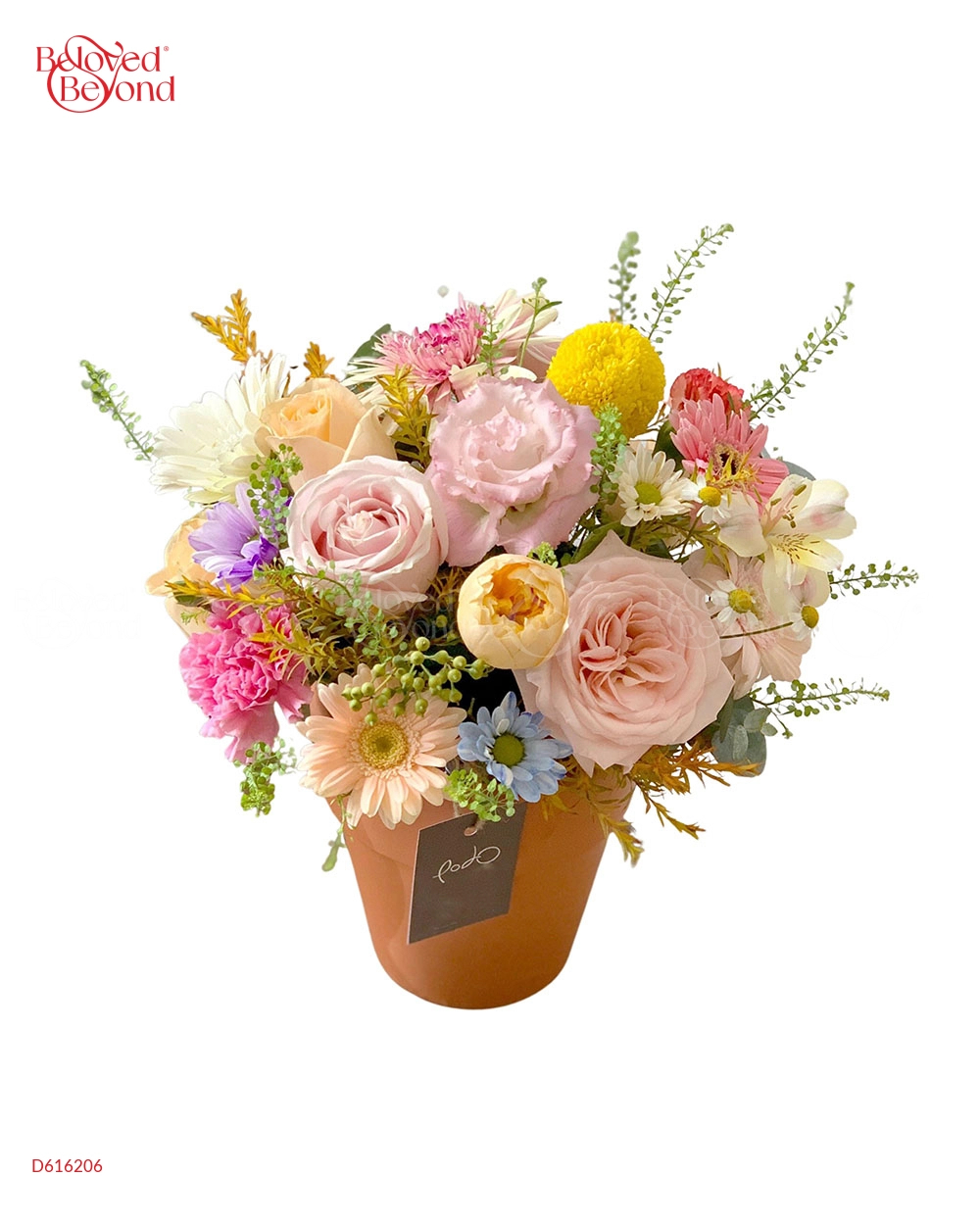 Hoa Trong Chậu-Tone Pastel - belovedbeyond.com