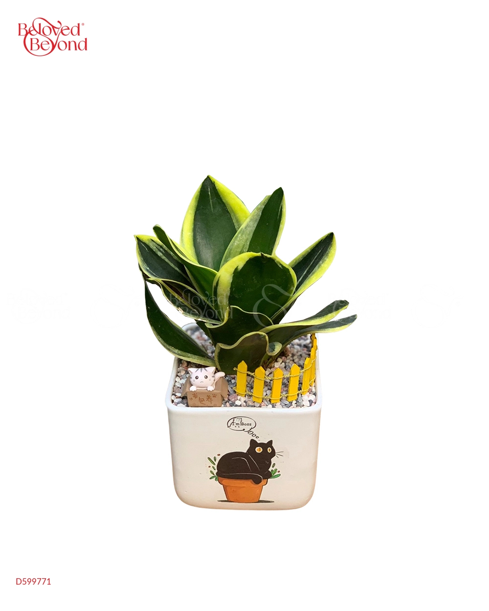 Birthday - belovedbeyond.com