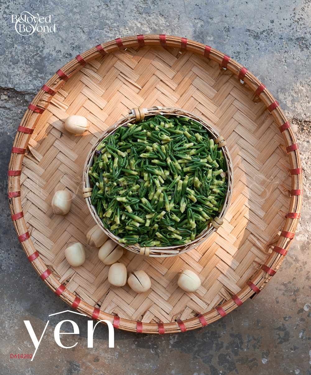 Yên - Trà Tim Sen Sao Vàng Hạ Thổ - belovedbeyond.com