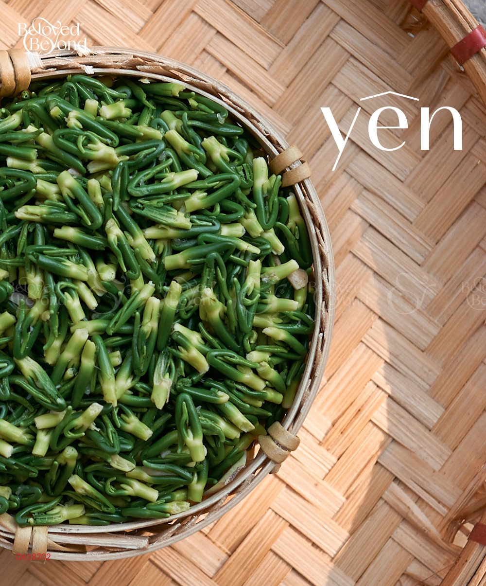 Yên - Trà Tim Sen Sao Vàng Hạ Thổ - belovedbeyond.com