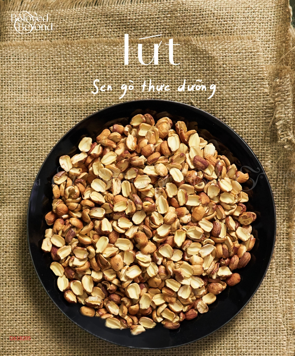 Lứt - Sen Gò Thực Dưỡng - belovedbeyond.com