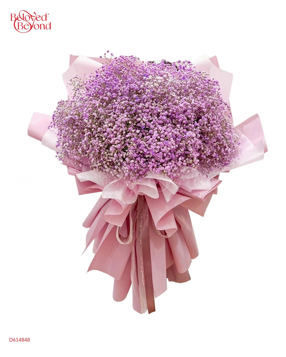 Baby Hồng Tím - belovedbeyond.com