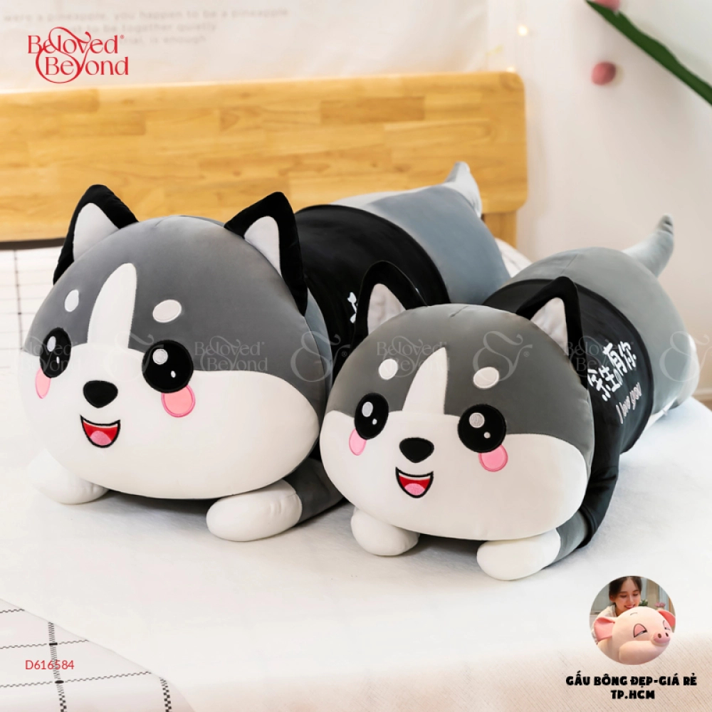 Mèo Áo Dễ Thương - belovedbeyond.com