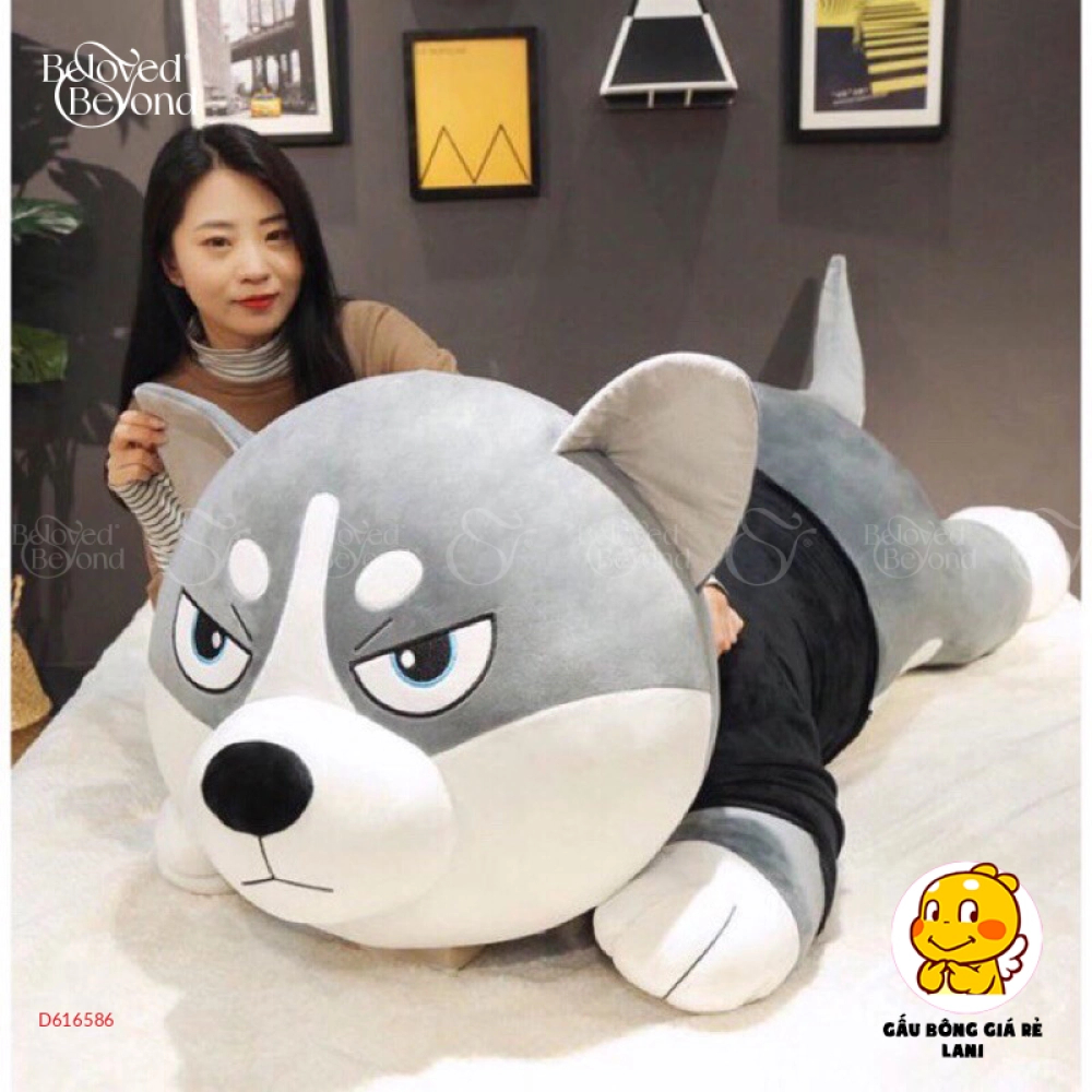 Chó Ngáo Husky - belovedbeyond.com