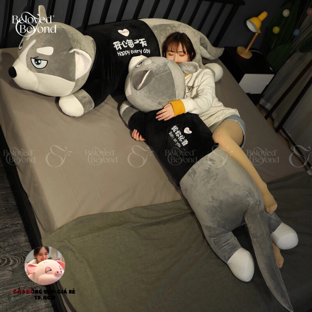 Chó Ngáo Husky - belovedbeyond.com