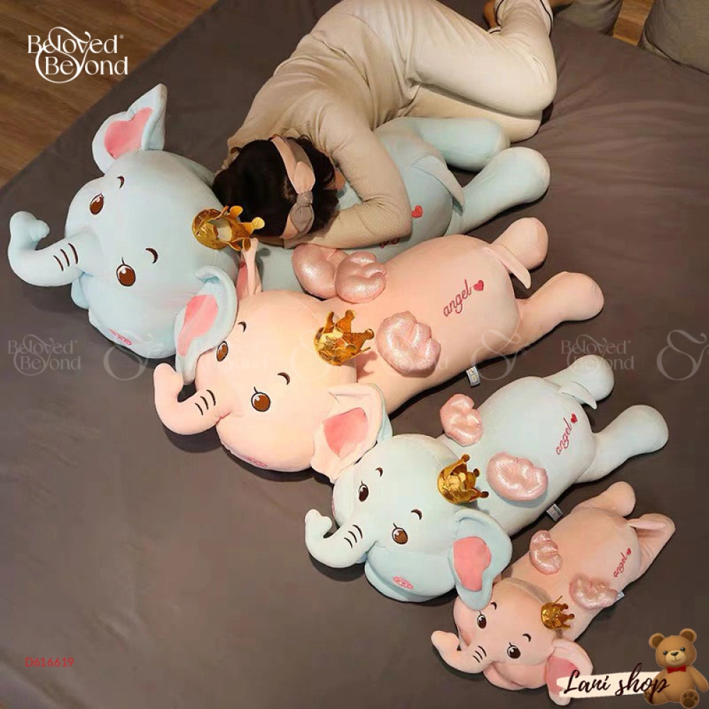 Voi Nằm - belovedbeyond.com